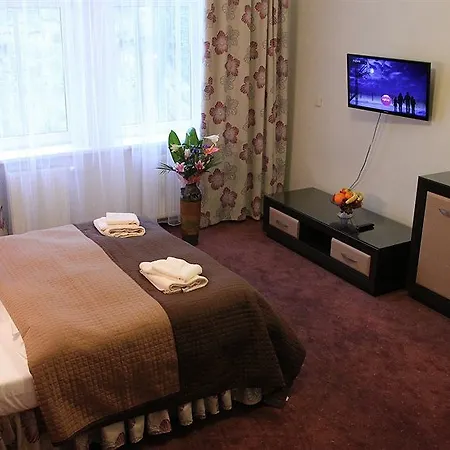 Goethe U Tri Moureninu 4* Karlovy Vary
